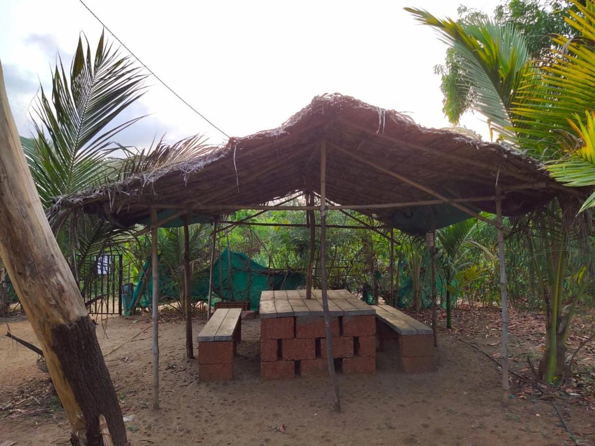 Whistling Waves Beach Resort Ānjarle Exterior photo